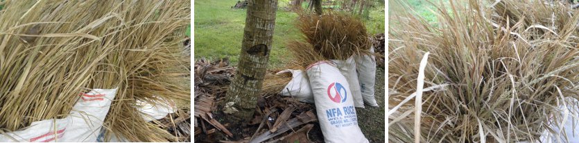 Images of sacks with ricestraw