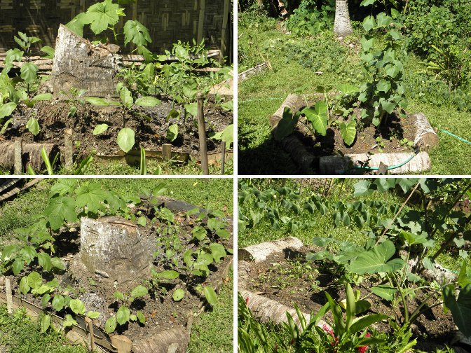 Images of two garden "stump
            patches"