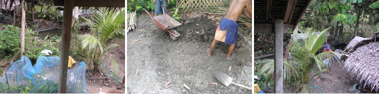 Digging up the floor of pig pen area -for deep litter
          flooring