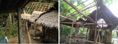 Images of Nipa roof being constructed for pig pen