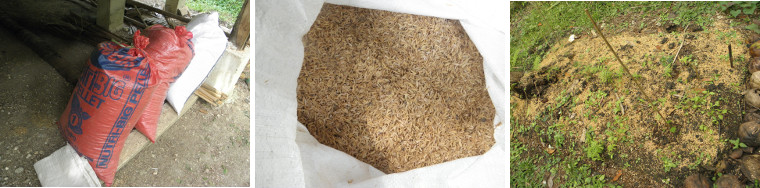 Images of rice husks in sack and as compost on garden
        patch
