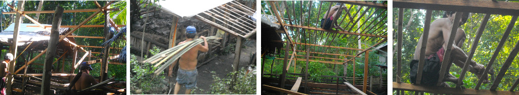 Images of work on tropical pig pen roof