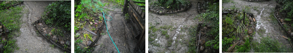 Images of drainage channels in tropical backyard