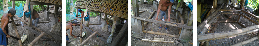 Images of building a temporary pren
        for piglets under tropical house