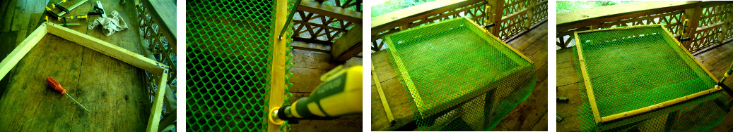 Images od construction of garden frame for tropical
        backyard