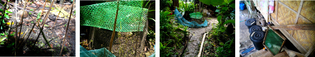 Images of tropical backyard garden frame
        removed for rebuilding