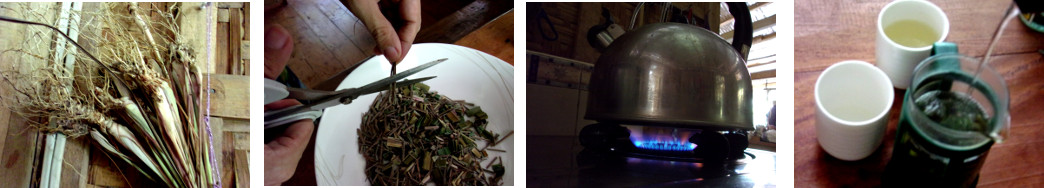 Images of making tea from dried
        lemongrass and pandan