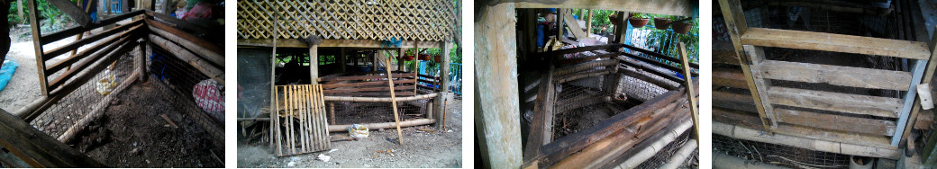 Images of small pen for piglets (after castration) under
        tropical house