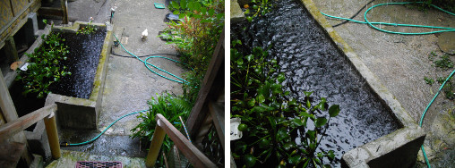 Images of Drainage around house during
        tropical rain