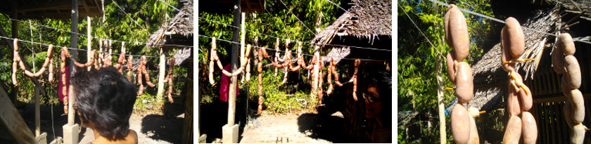 Imags of tropical sausages drying on washing line