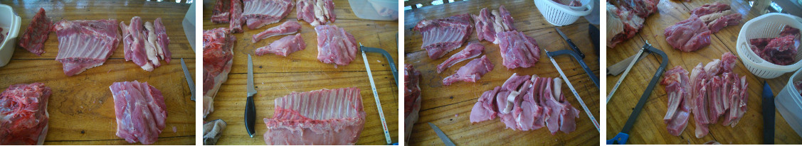 Images of an attempt to cut up freshly slaughtered
          side of pork