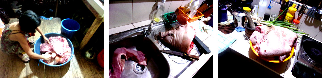 Images of sorting out the meat after
        butchering a tropical backyard pig