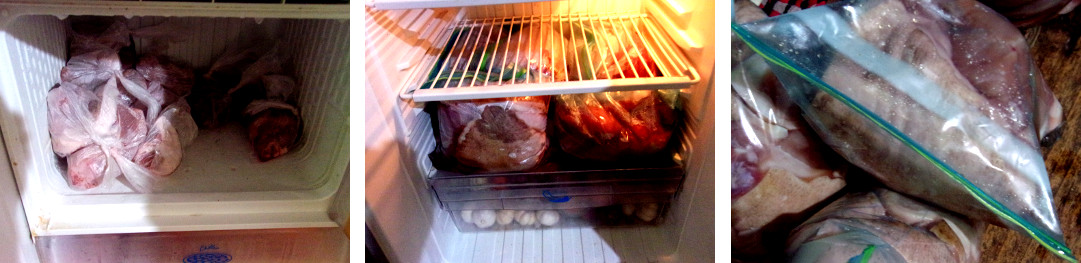 Images of meat in freezer and fridge