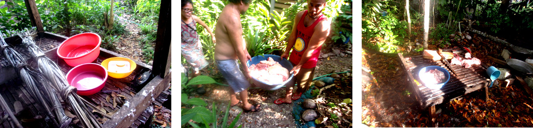 Images of clearimng up after butchering a tropical
        backyard piglet