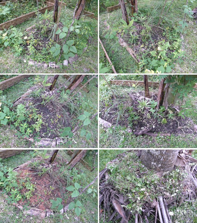 Images of Tidying up
                  Mini-garden under banana tree