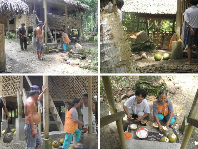Images of people getting ready to enjoy fresh
        coconut