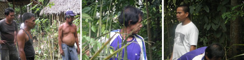 Images of people looking and thinking
            about the next step in felling the last tree