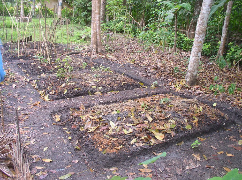 Photo of newly added garden plots