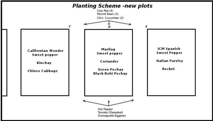 Diagramme of today's planting scheme