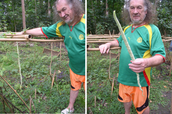 Images of Snake Bean (a gourd)