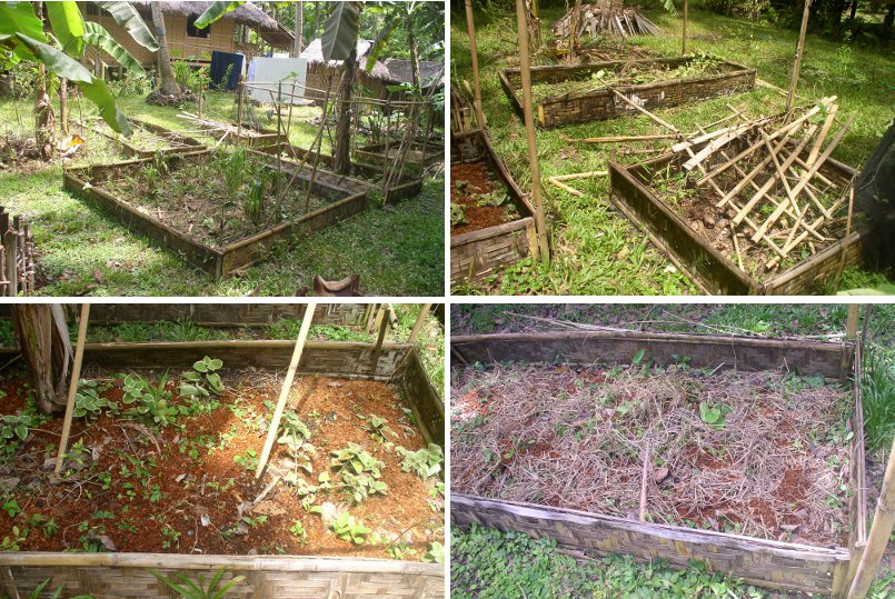 Images of garden plots in various stages of
                        renovation
