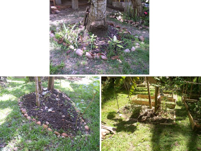 Various mini-gardens
                        around trees