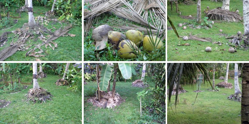 Images of Harvest Debris and restored
            order