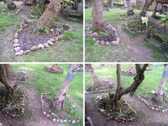 Images of reshaped
        mini-gardens under trees