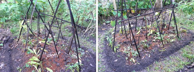 Images of new
        climbing frame buit in the ginger patch