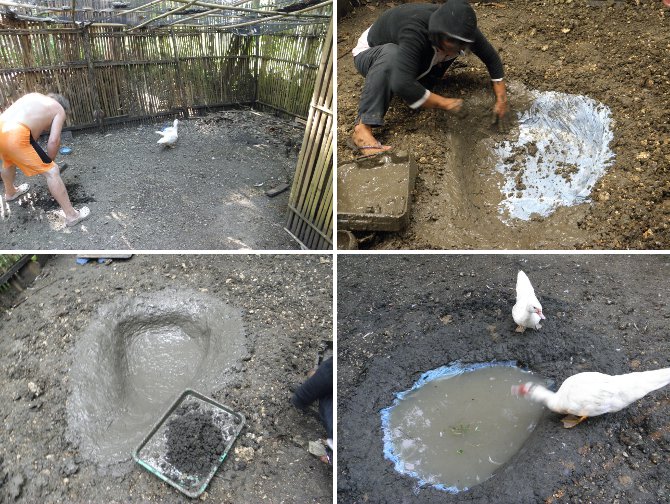 Imagews of the creation of a small pond for
        the ducks