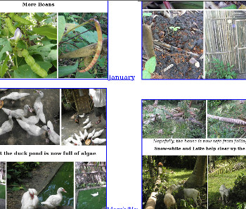 Visual link to 2014 Garden Daiary