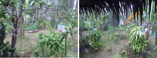 Images of first
        heavy rain for some time