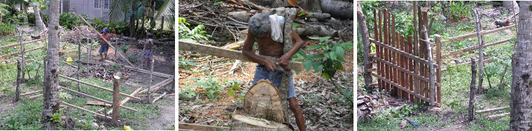 Images of pig pens under construction in tropical
        garden