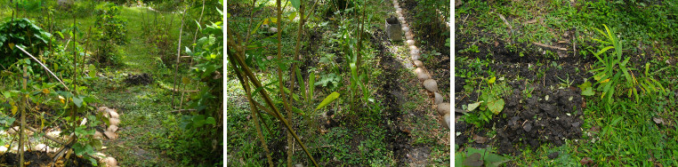 Images of work on drainage border for garden patch