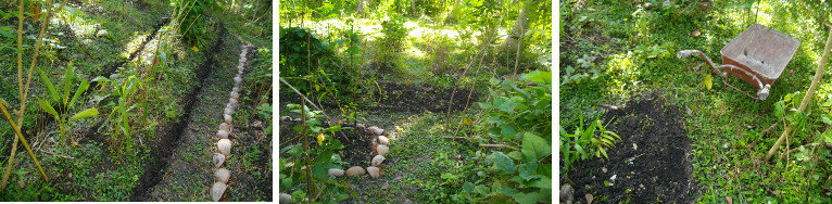 IMages of drainage system being dug around tropical
            garden plot