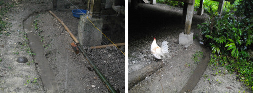 Images of bad drainage after tropical rain