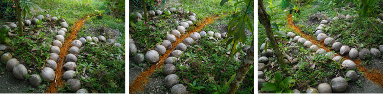 Images of drainage channel filled with
        sawdust to slow down flow of water and allow more absorbtion