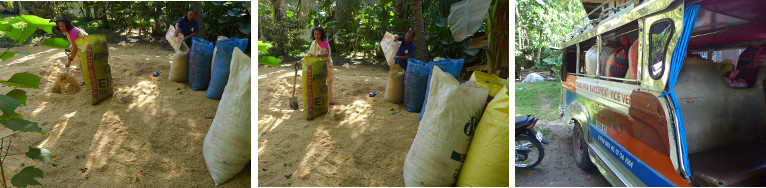 IMages of rice refuse being collected from local Rice
        Mill