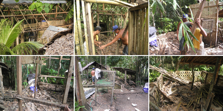 Images of Chicken house being demolished to build new pig
          pen