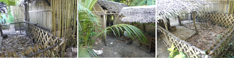 Images of old pig pen and chicken house -before
            being demolished to make new pig pen