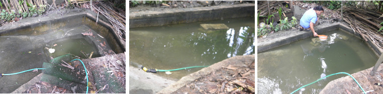 Images of duck pond being re- filled and cleaned