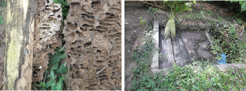 Image of broken termite nest and failed water feature
          waiting for treatment