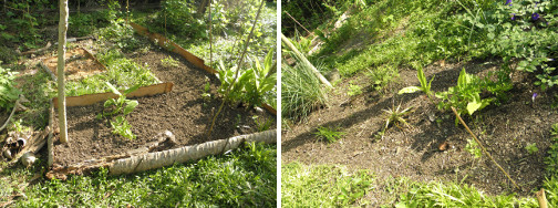 Images of new garden patches ready for planting