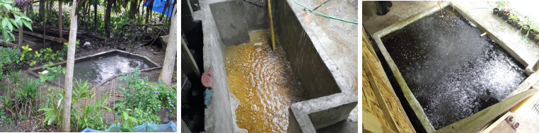 Images of various garden ponds in the
        rain