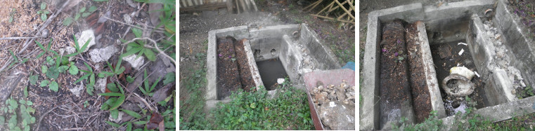 Images of water feature being filled in with stones from
        the garden