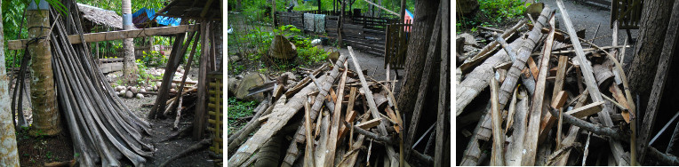 Images of wood piles in tropical
        garden