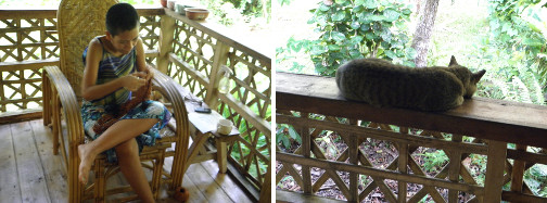 Images of person and cat enjoying the shade on
                the balcony