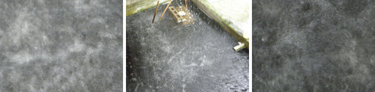 Images of tropical rain