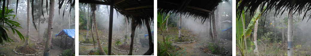 Images of smoke in tropical garden
