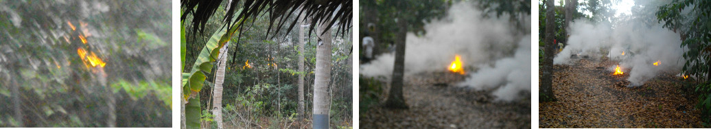 Images of burning leaves in tropical forest area